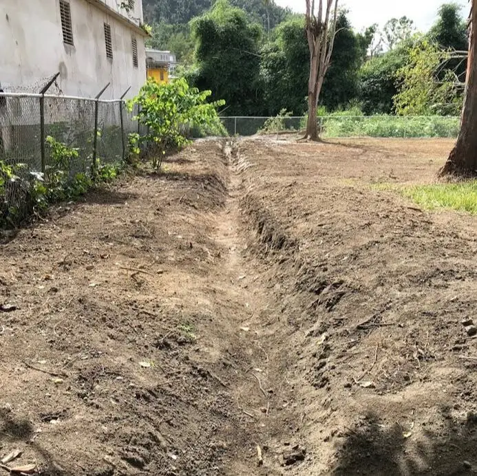 Puerto Rico, photo 10
