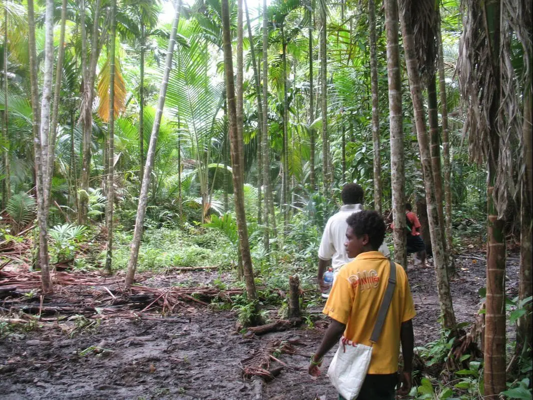 Papua New Guinea, photo 6