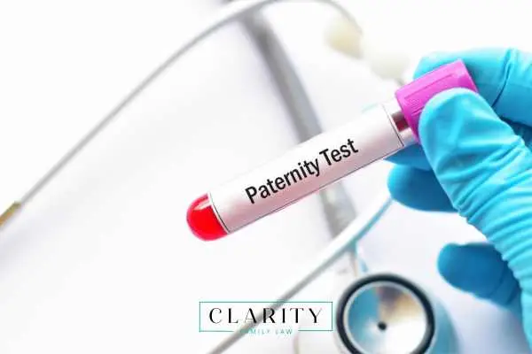 a golved hand holding a paternity test