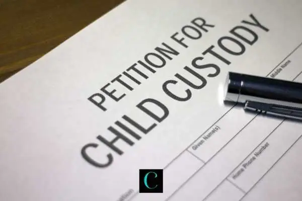 a petition for custody form on a table