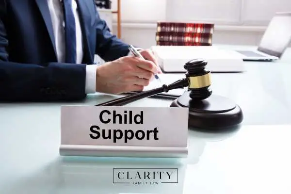 an attorney reviewing a child support case