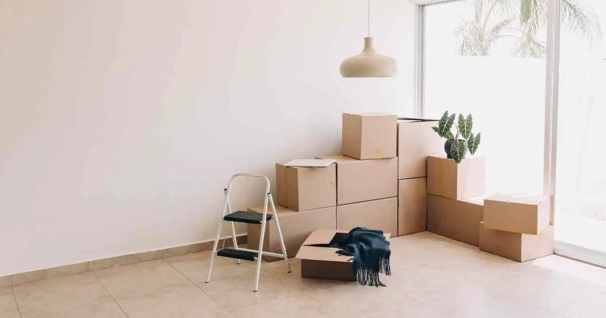 Can You Relocate If You Have Full Custody in Michigan?