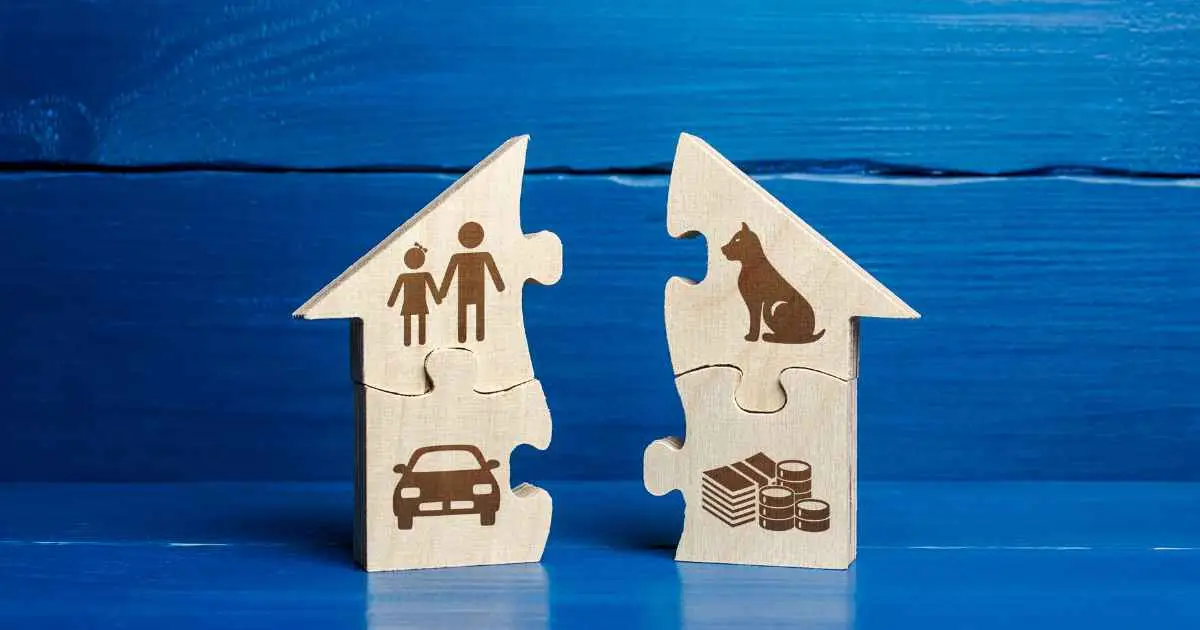 Pets in Divorce: Who Gets to Keep Them?