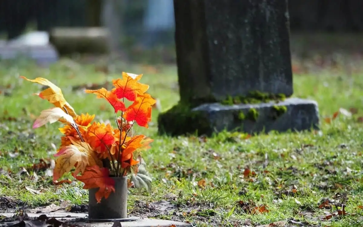 fall flowers on grass in front of gravestone