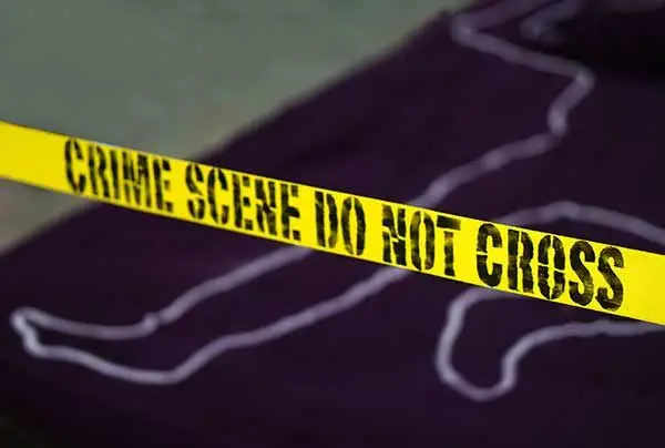 What Are the Different Types of Murder?
