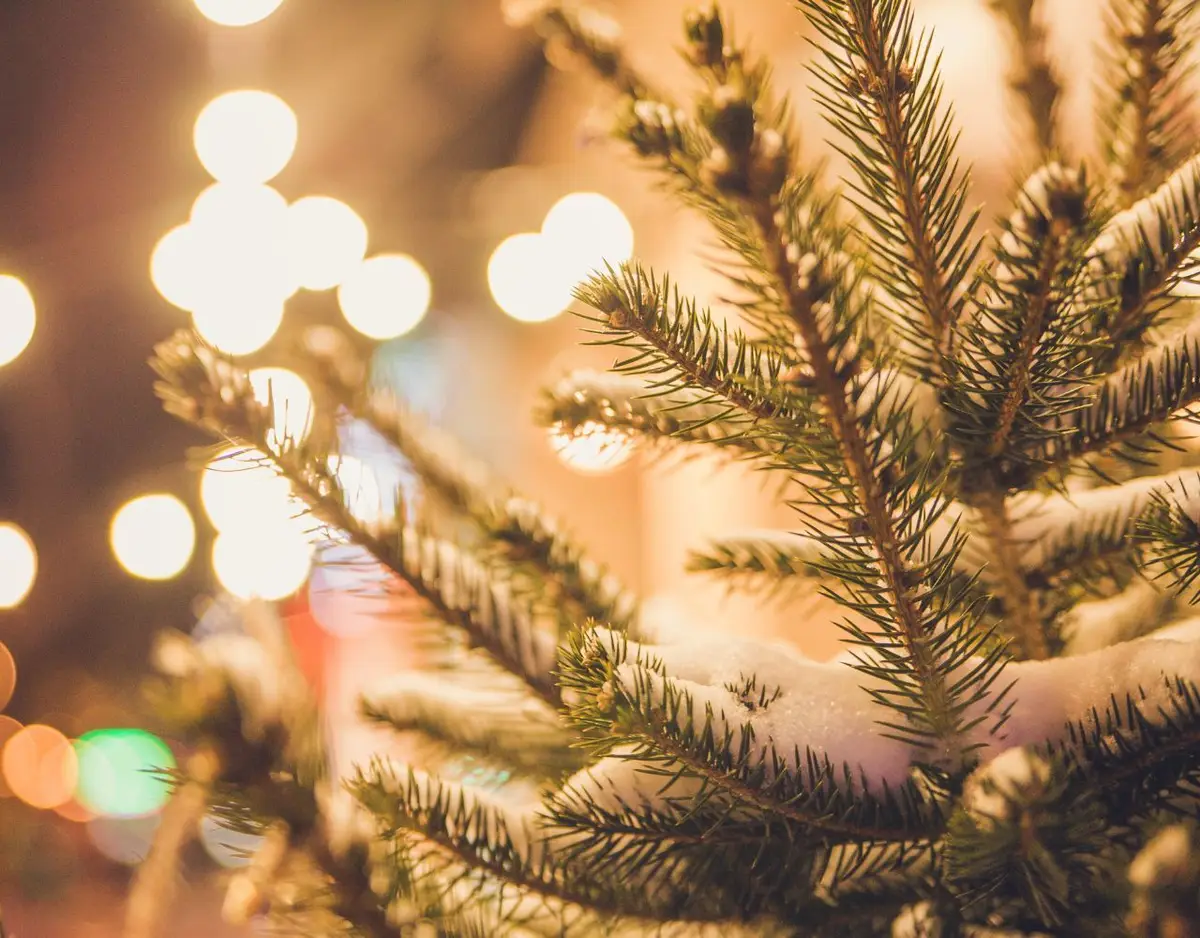 Holiday Safety Tips