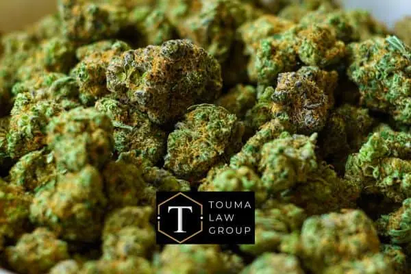 marihuana, cargos de tráfico de marihuana en Carolina del Sur