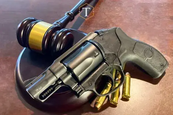 South-Carolinas-New-Gun-Laws-01.jpg