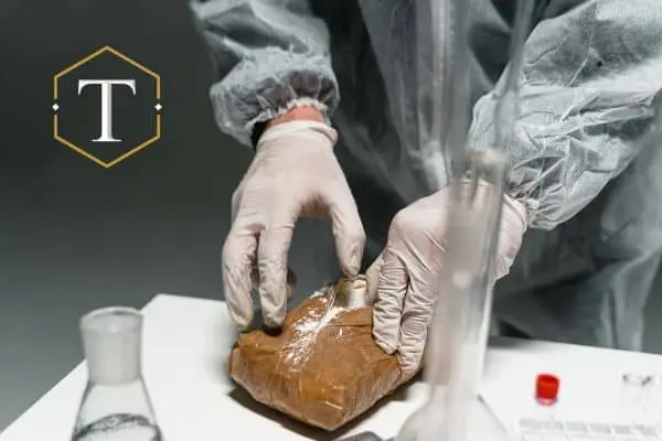 Se está probando una gran cantidad de cocaína, cargos por tráfico de cocaína.
