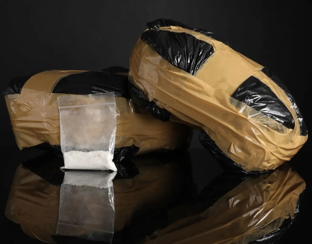 two bricks of drugs with plastic baggies with white powder